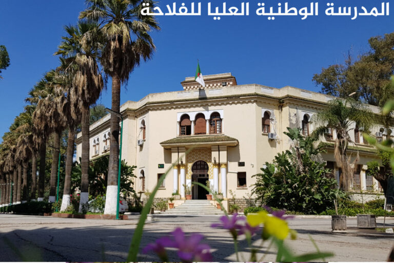 مسابقة وطنية للالتحاق بالتكوين في الطور الثالث